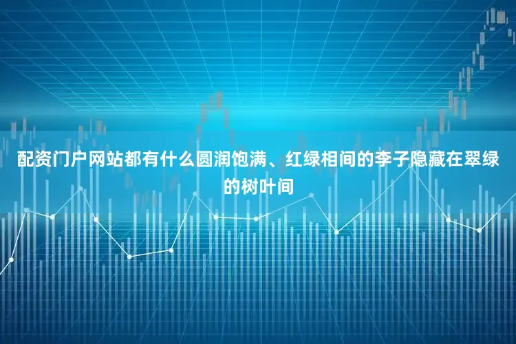 配资门户网站都有什么圆润饱满、红绿相间的李子隐藏在翠绿的树叶间